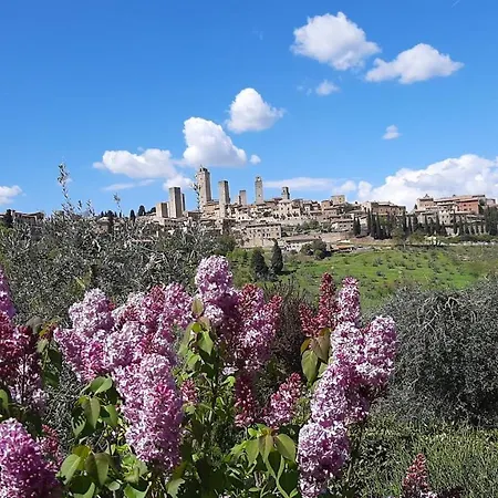 Antico Casolare * San Gimignano